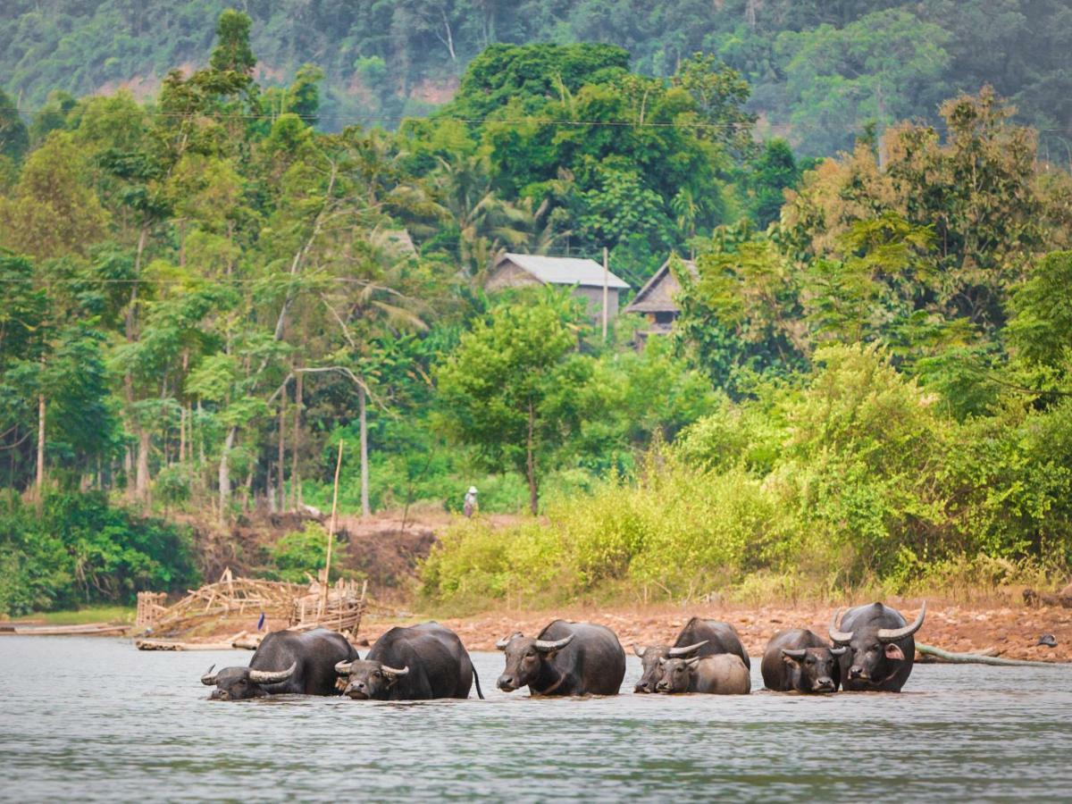 Muang La Lodge Exteriör bild